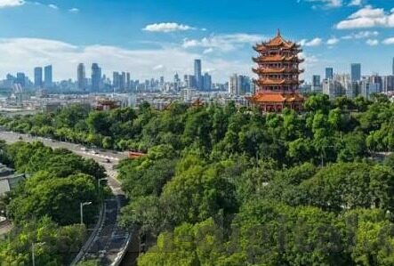 麻豆影视传媒app官方下载-探索多元娱乐，麻豆影视传媒app的官方下载与文化体验