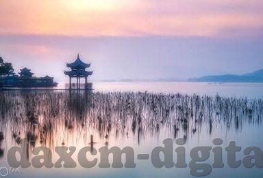 郑州大象传媒有限公司-郑州大象传媒，文化创意的活力源泉